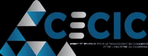 Coopérative d'Epargne et de Crédit pour l'Investissement du Cameroun (CECIC SA)